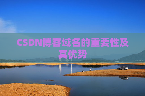 CSDN博客域名的重要性及其优势